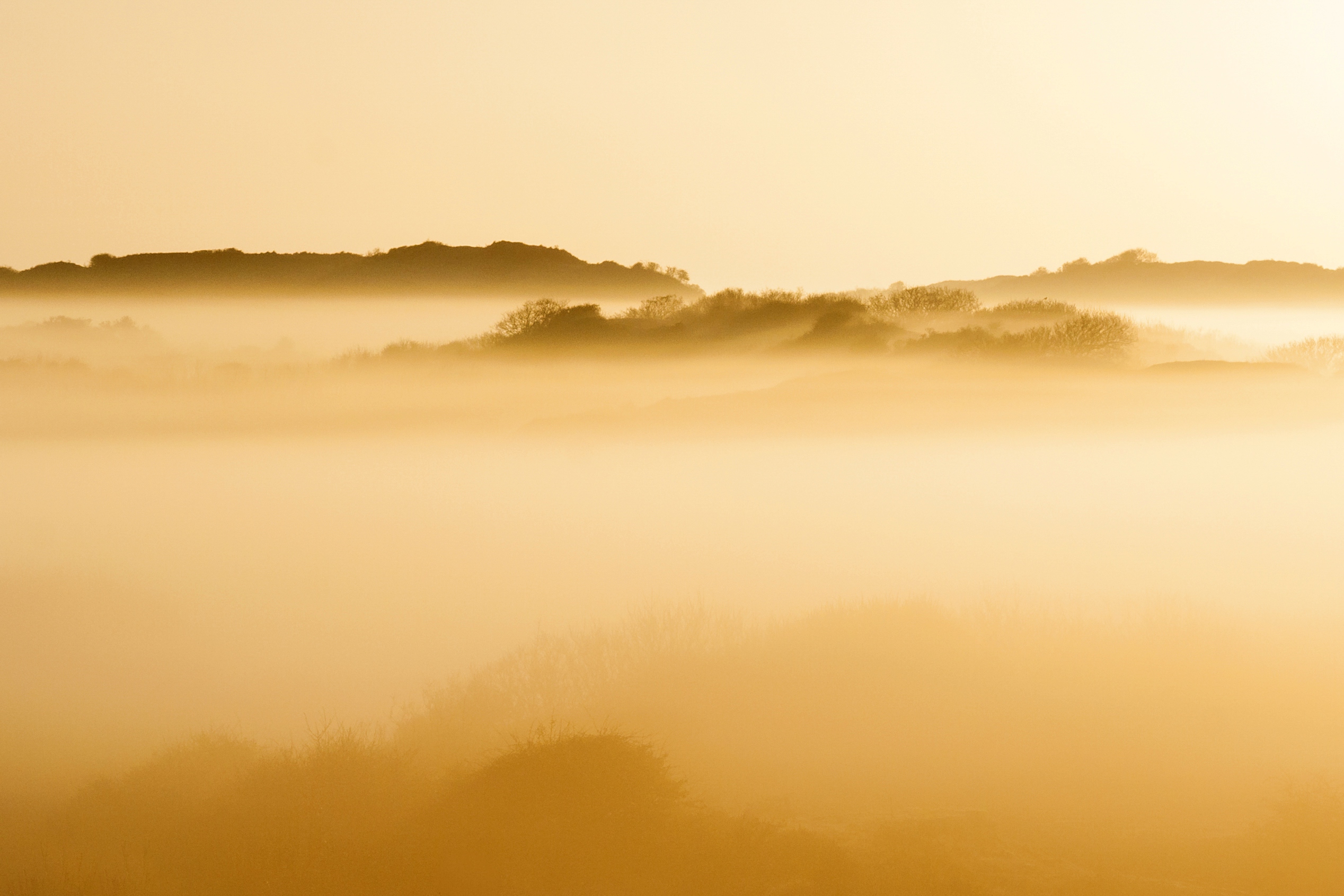 Duinen van Berkheide in Katwijk
